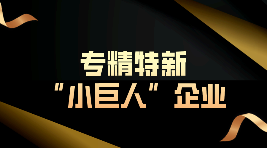 第六批專精特新“小巨人”企業(yè)培育和第三批專精特新“小巨人”企業(yè)復核