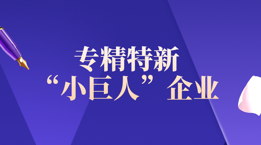 財政部辦公廳 工業(yè)和信息化部辦公廳關(guān)于加強(qiáng)審計報告查驗完善專精特新“小巨人”企業(yè)服務(wù)管理的通知